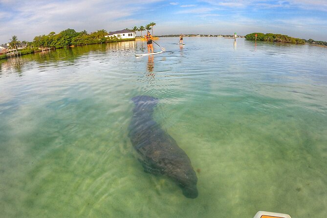 Sunrise Paddle Boarding Adventure in Jupiter - Directions