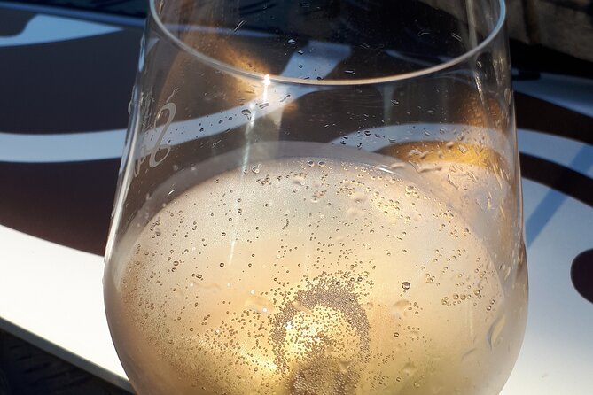 Sunset and Champagne Tasting in the Vineyard - Parc Naturel Regional De La Montagne De Reims