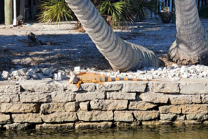 Sunset and Dolphin Tour, Fort Myers Beach and Sanibel Lighthouse - Traveler Reviews