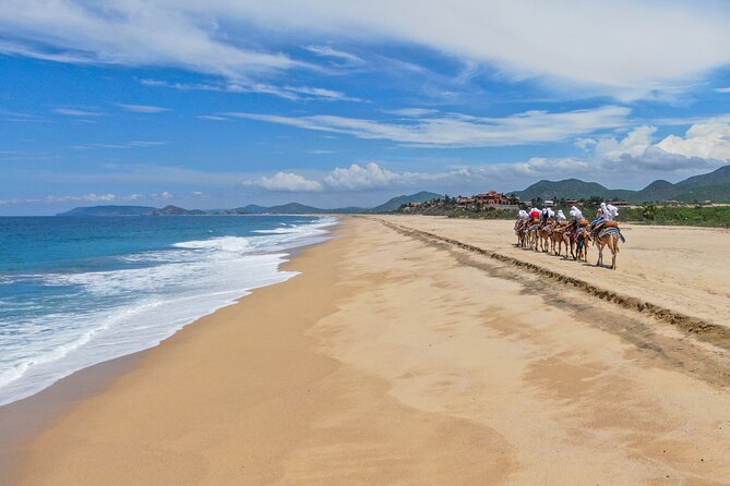 Sunset Beach Camel Ride With Mexican Buffet and Tequila Tasting - Sunset Beach Camel Ride Experience