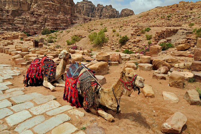 Sunset Camel Ride in Agadir or Taghazout With Transfers - Sunset Camel Ride in Taghazout