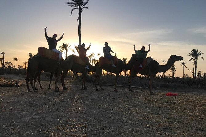Sunset Camel Ride in the Palm Grove Of Marrakech - Reviews and Ratings of the Experience