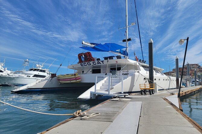 Sunset Cruise Sailing Catamaran in San Lucas - Common Questions (FAQs)