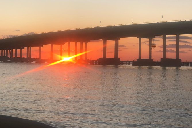 Sunset Dolphin Watching Cruise in Destin Harbor - Customer Interaction and Testimonials
