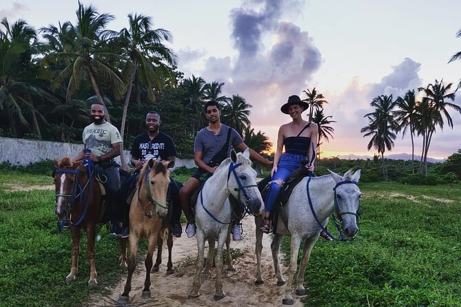 Sunset Horseback Riding Tour From Punta Cana - Reviews and Feedback