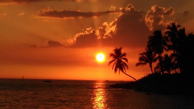 Sunset Private Boat Trip in Naples FL With Secluded Island Stop With Your Dog - Cancellation Policy
