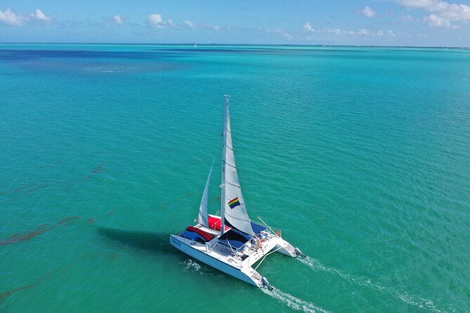 Sunset Sail & Dolphin Search With Honest Eco - Additional Information and Contact Details
