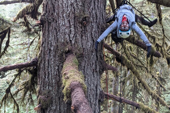 Sunset Tree Climb at Silver Falls State Park - Confirmation and Accessibility Information