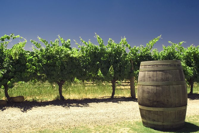 Swan Valley Private Tour - Traveler Tips and Reviews