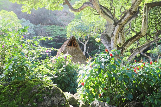 Swim at Oahu Waterfall in Waimea With Coffee Treats, Lunch & Dole - The Sum Up