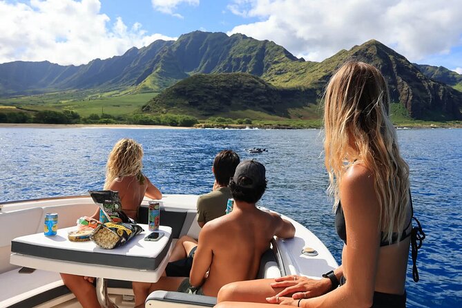 Swim With Dolphins & Turtles in West Oahu (Semi-Private Tours) - Experience the Beauty of the Ocean