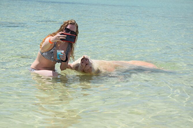 Swimming Pigs & Tour - Morning Excursion With Transportation - Cancellation and Refund Policy