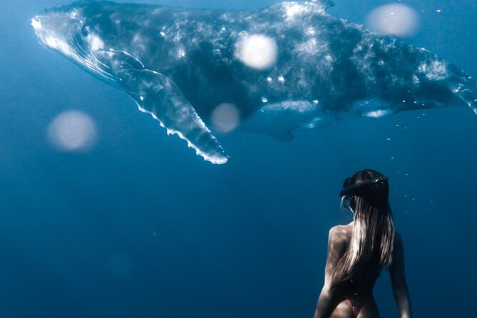 Swimming With Whales in Moorea (Half Day Tour) - Recommended Gear and Preparation