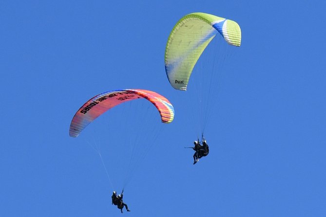 Tandem Paragliding Flights From Vik - Lowest Price Guarantee