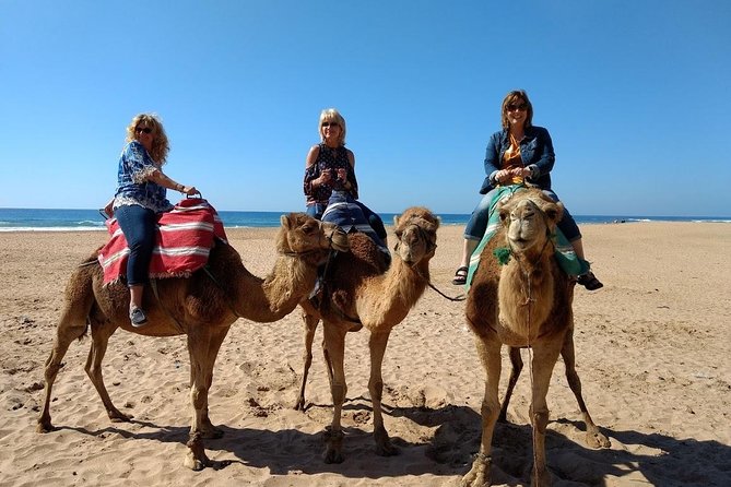 Tangier City Private Walking Tour - Common Questions
