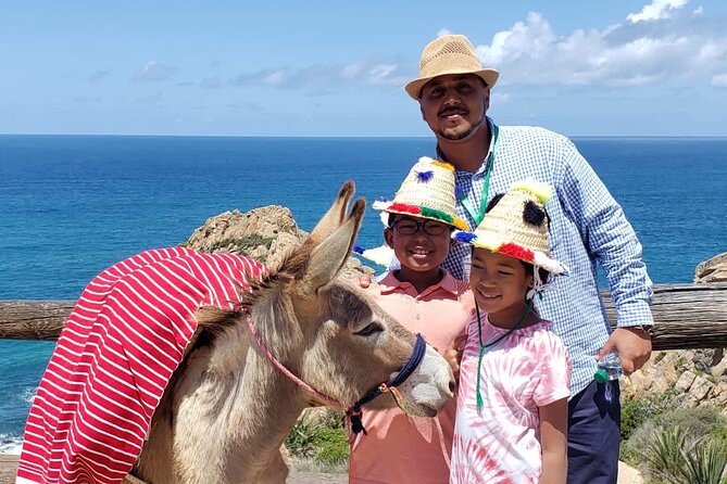 Tangier Private Sightseeing&Walking Tour With Optional Camel Ride - Cancellation Policy