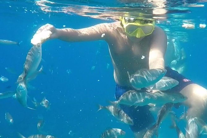 Taormina Snorkeling Experience - The Sum Up