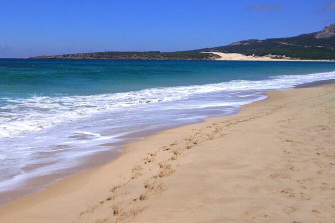 Tarifa and Bolonia, Full-Day Food and History Tour From Marbella - Common Questions