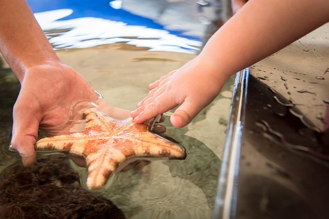 The Aquarium of Western Australia General Admission Ticket  - Perth - Cancellation Policy for General Admission Tickets