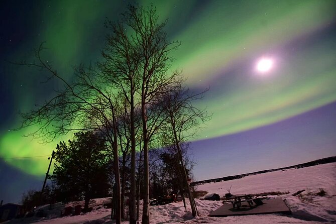 The Best Aurora Tour - Common Questions
