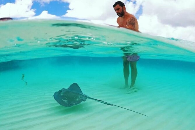 The Best Cozumel Snorkeling Tour Palancar, Colombia and El Cielo Reefs - Reviews and Ratings From Viator and Tripadvisor