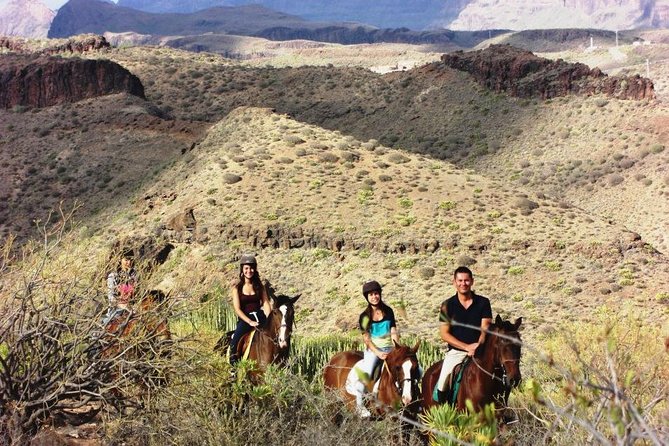 The Best Horse Riding Experience in Gran Canaria (1 Hour) - Traveler Reviews and Photos