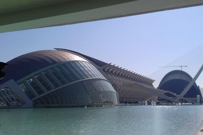 The City of Arts and Sciences in Valencia - Palau De Les Arts Reina Sofia