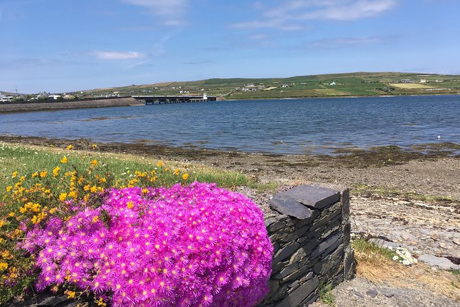 The Cliffs of Moher and Burren National Park Private Tour. - Common Questions