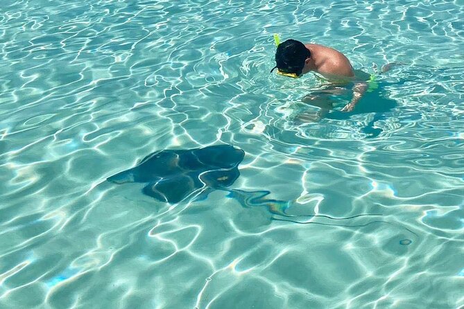 The Cozumel Sky Snorkeling by Private Boat - Traveler Photos and Reviews