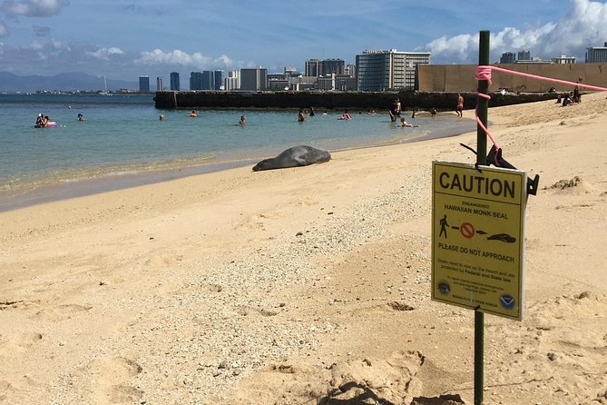 The East Waikiki Walking Tour - Snacks and Bottled Water