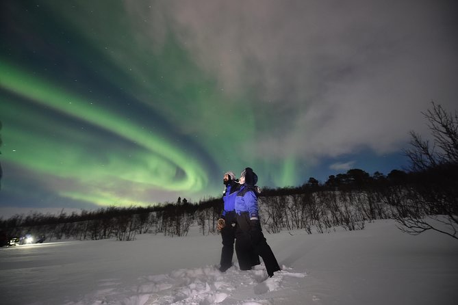The Longest Northern Lights Tour in Abisko With Dinner - The Sum Up