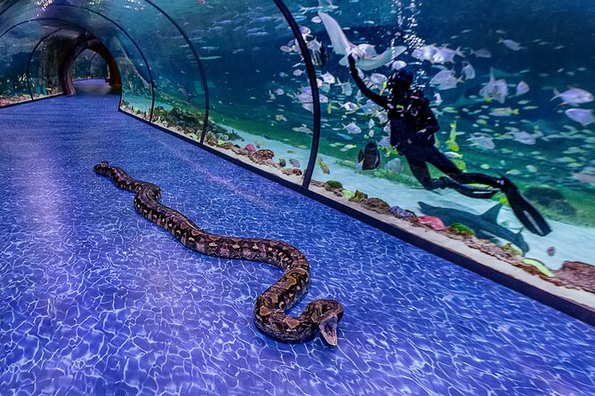 The National Aquarium Abu Dhabi Ticket - Cancellation Policy