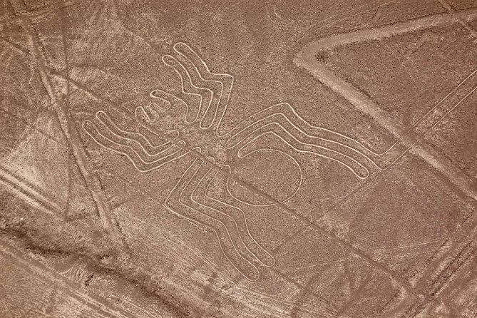 The Nazca Lines & Huacachina Oasis From Lima - Private - Flight Over the Nazca Lines
