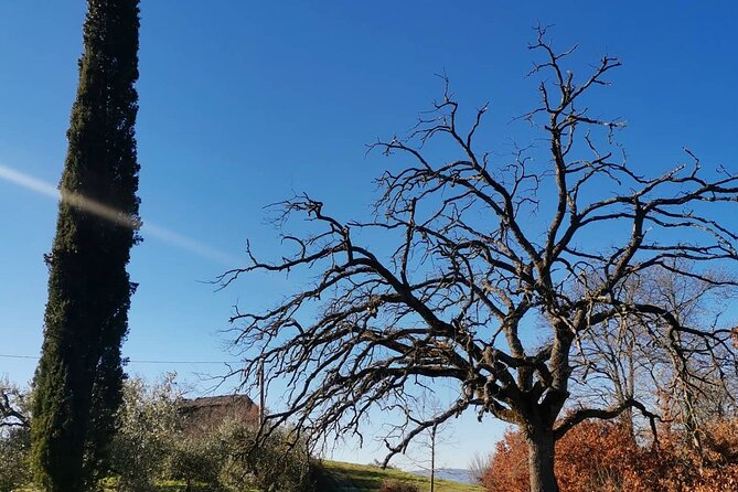 The Spell of Lake Trasimeno - Trekking Tour - Additional Information