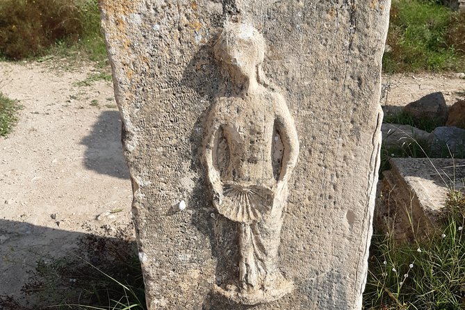 Thuburbo Majus Uthina and Zaghouan Roman Sites Tour From Tunis or Hammamet - Booking and Pricing Information