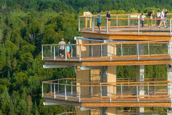 Ticket to Mont Tremblant Treetop Observatory and Walk - The Sum Up