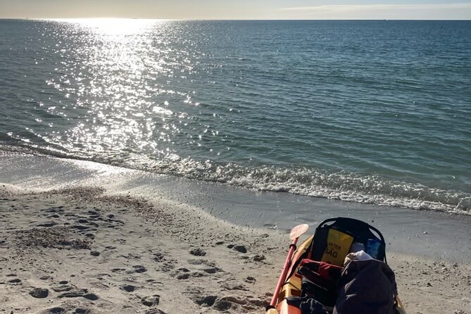 Tierra Verde Private Mangrove Tunnels Kayak Tour Near St. Pete  - St Petersburg - Cancellation Policy