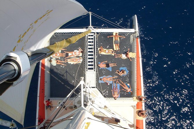 Tip Top Catamaran - Common Questions