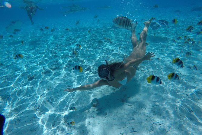 Toa Boat Bora Bora Private Lagoon Tour on Ambassador Boat - Cancellation Policy and Refunds