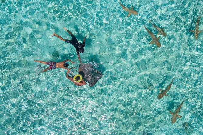 Toa Boat Bora Bora Private Lagoon Tour on Majestic Pontoon Boat - Convenient Pick-up Locations