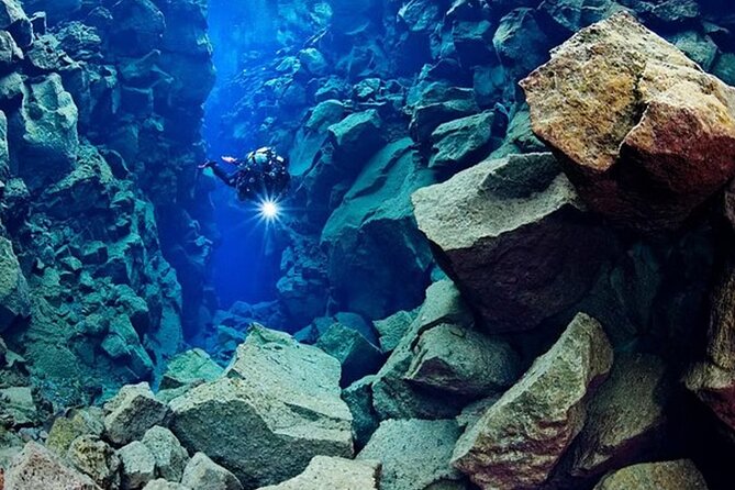 Top-Rated Snorkeling in Silfra & Whale Watching Self-Drive From Reykjavik - Reviews and Assistance From Viator