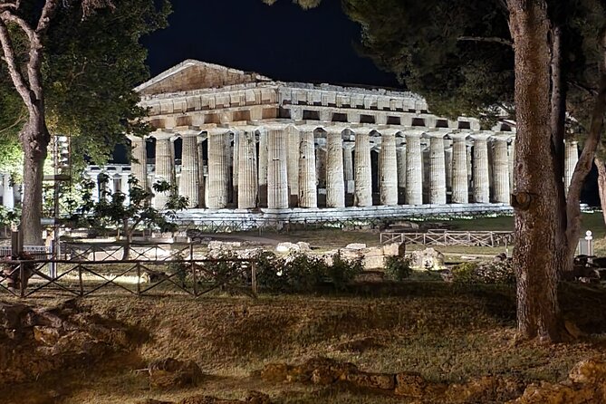 Tour at the Temples and the National Museum of Paestum - Tour Information and Provider