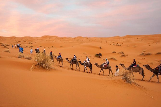 Tour From Marrakech to the Desert 4 Days - Included Meals