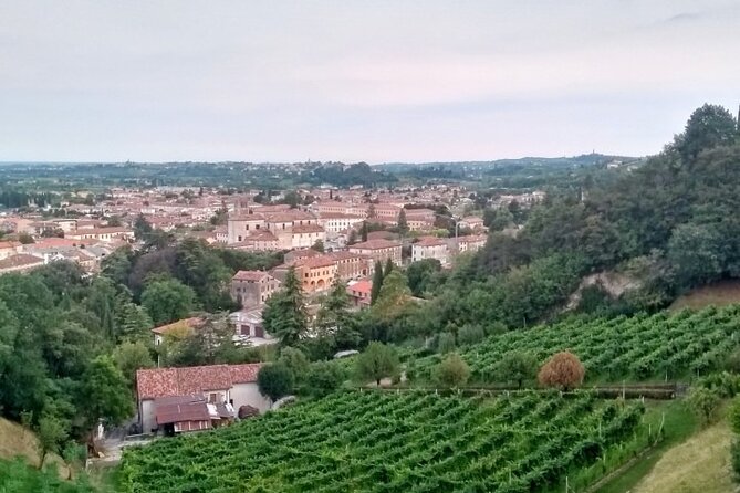 Tour in the Prosecco Hills Tour From Padua - Directions