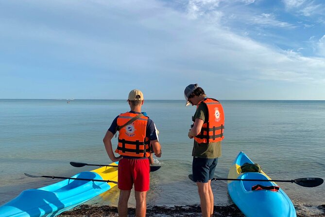 Tour the Mangroves in Kayak by Isla Holbox - Questions and Support