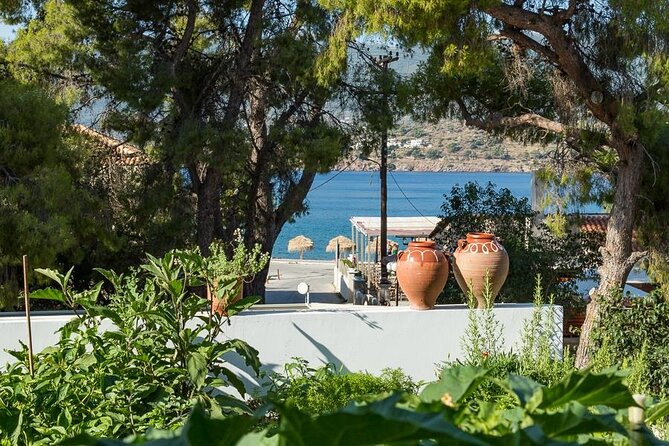 Traditional Greek Cooking Class and Organic Lunch on Poros - Booking and Confirmation Process