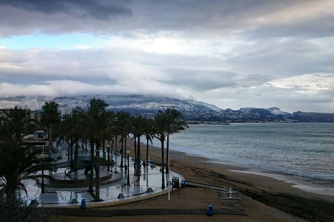 Transfer From Alicante Airport to Albir in Private Sedan Car Max. 3 Passengers - Additional Services and Amenities
