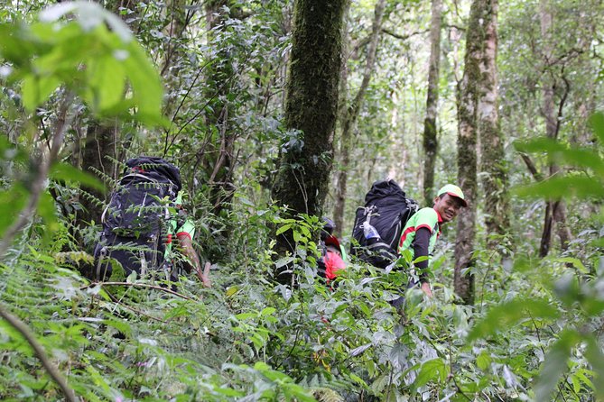 Trek On Langbian Mountain - The Sum Up