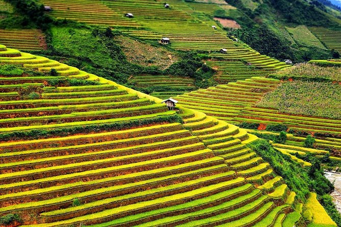Trekking In Mu Cang Chai Tour 4 Days - Bike Ride and Three Walks