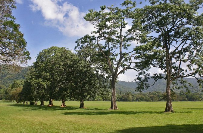 Trinidad Highlights and Scenic Drive Tour - Good To Know